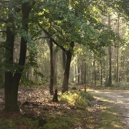 In Near Veluwe, Cleaning Included Hébergement de vacances