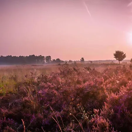 Hébergement de vacances In Near Veluwe, Cleaning Included