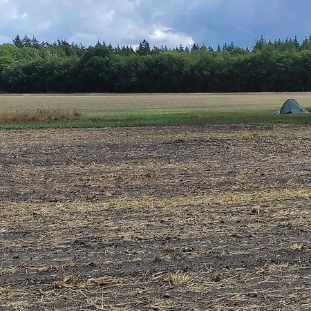 Hébergement de vacances In Near Veluwe, Cleaning Included *