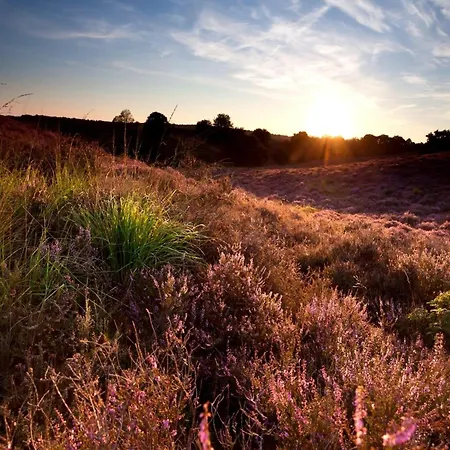 In Near Veluwe, Cleaning Included Hébergement de vacances *