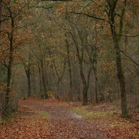 Hébergement de vacances In Near Veluwe, Cleaning Included Voorthuizen