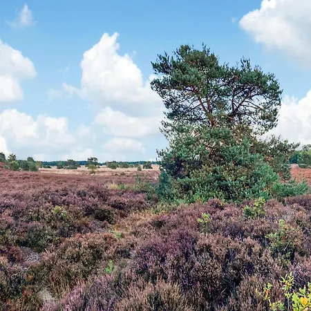 In Near Veluwe, Cleaning Included Voorthuizen